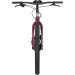 Ogre - Fermented Plum - Image 4