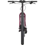 Ogre - Fermented Plum - Image 5